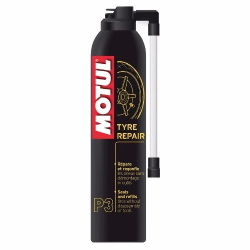MOTUL P3 TYPE REPAIR
